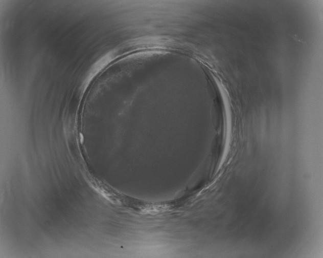 X0000081390099200701182242