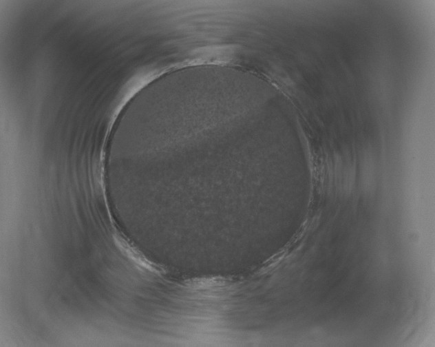 X0000081390100200701182242