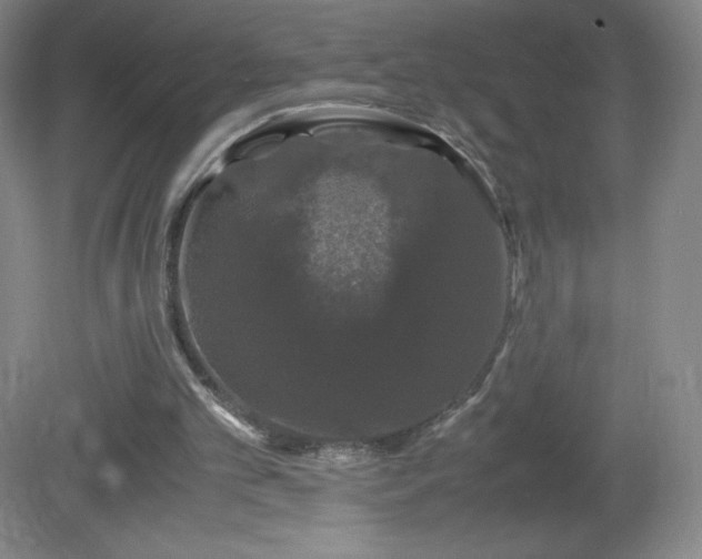 X0000081390101200701182242