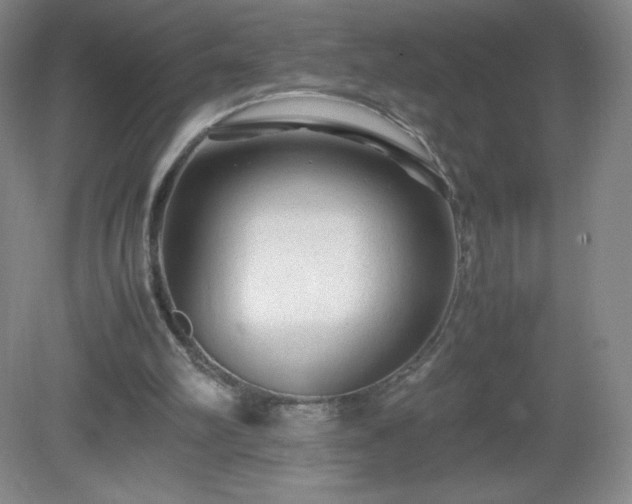 X0000081390102200701182242