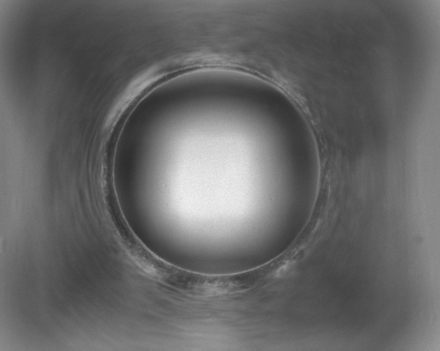 X0000081390103200701182242