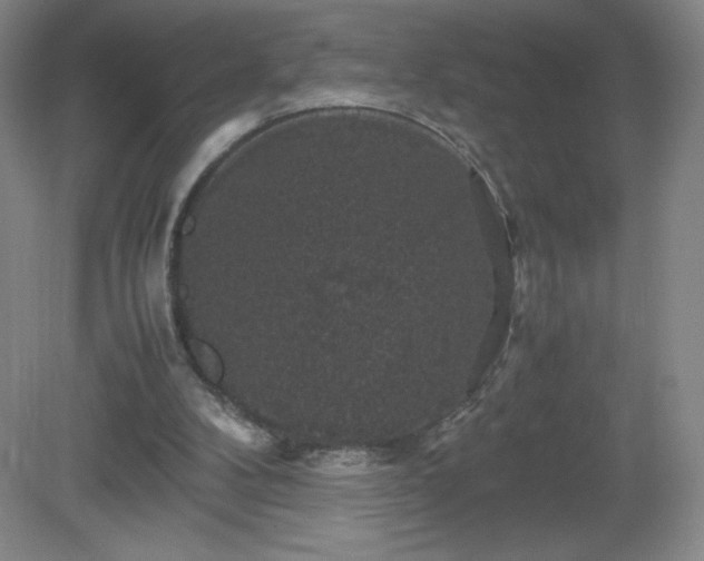 X0000081390104200701182242