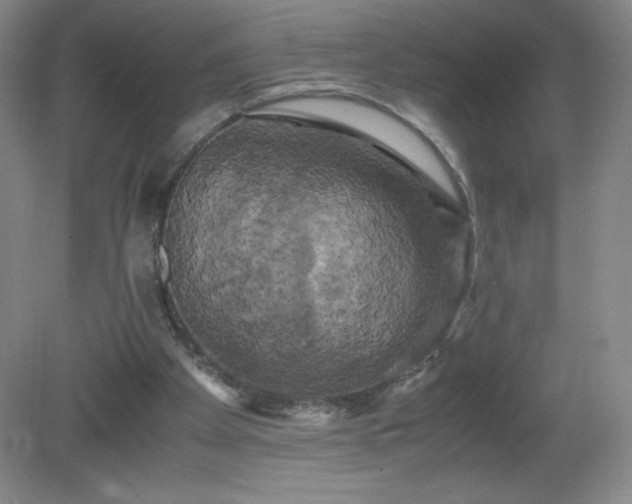 X0000081390105200701182242