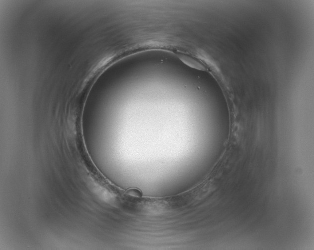 X0000081390106200701182242