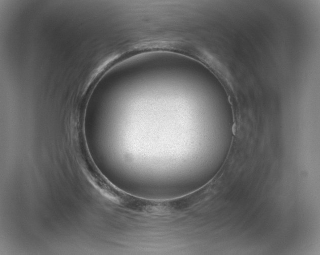 X0000081390107200701182242