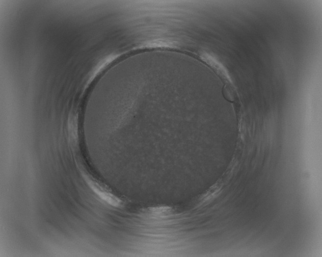 X0000081390108200701182242