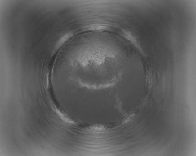 X0000081390110200701182242