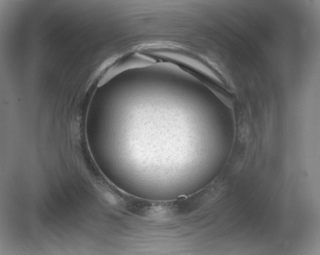 X0000081390111200701182242