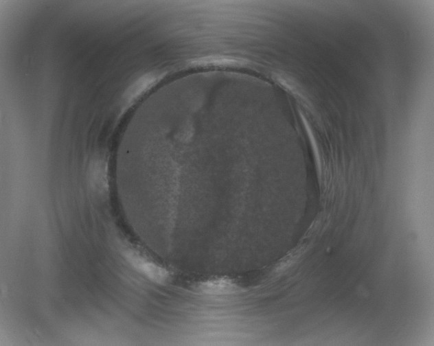 X0000081390112200701182242