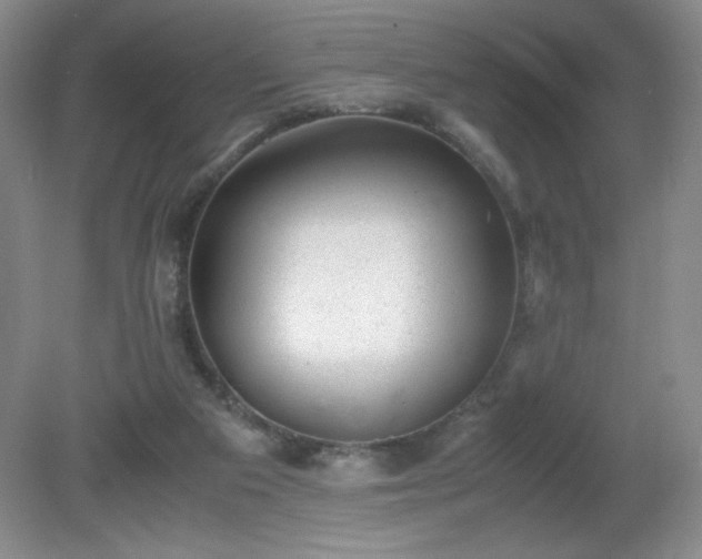 X0000081390113200701182242