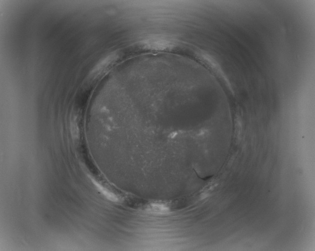 X0000081390114200701182242