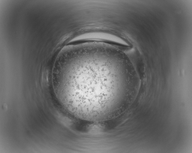 X0000081390115200701182242