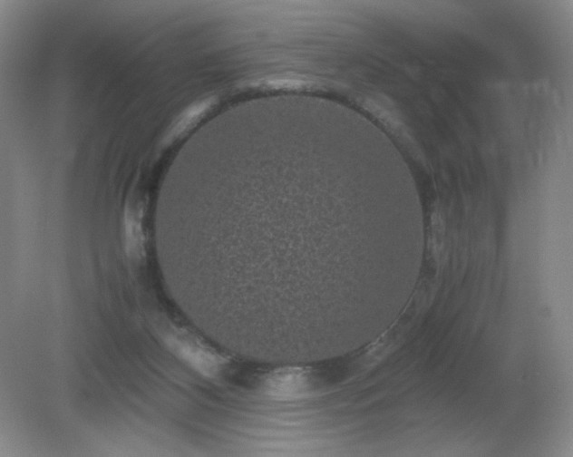 X0000081390116200701182242