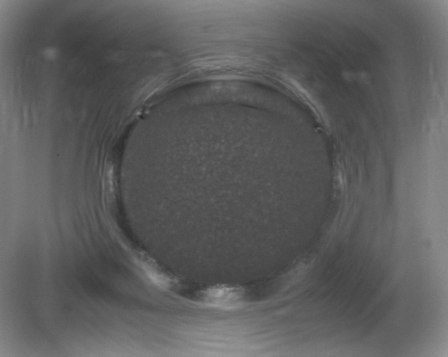 X0000081390117200701182242