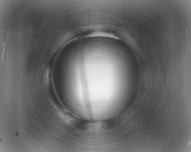 X0000081390118200701182242