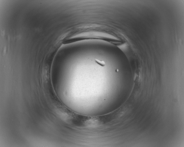 X0000081390119200701182242