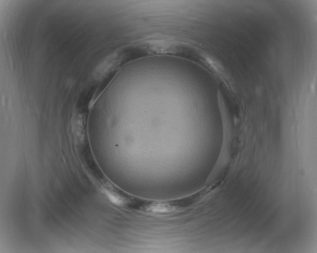 X0000081390121200701182242