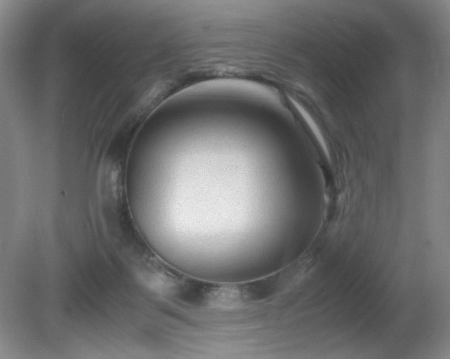 X0000081390123200701182242