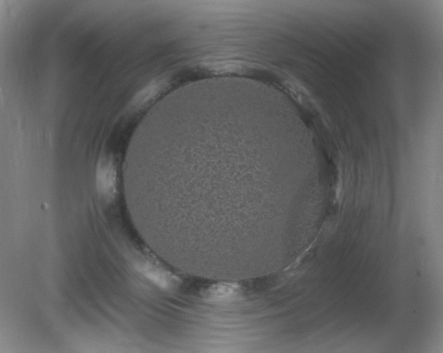 X0000081390124200701182242