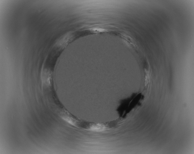 X0000081390125200701182242