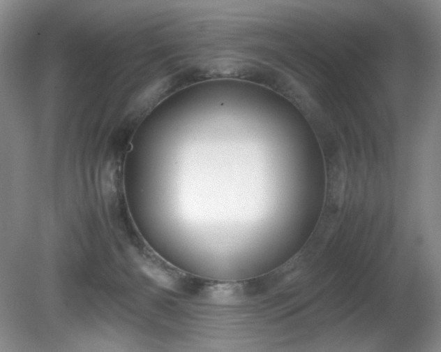 X0000081390126200701182242