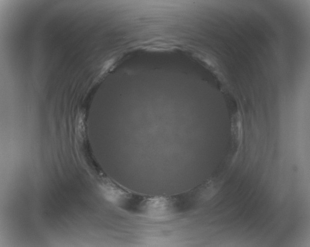 X0000081390127200701182242