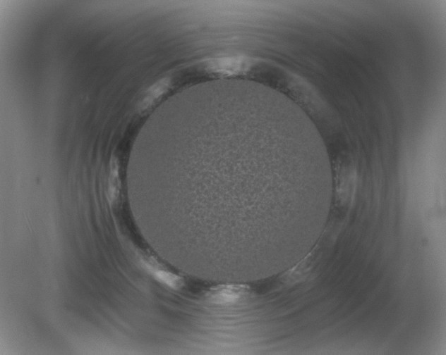 X0000081390128200701182242