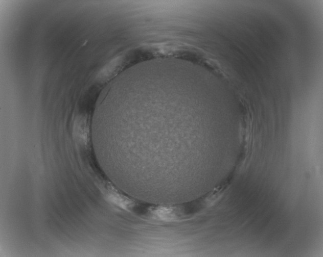 X0000081390129200701182242