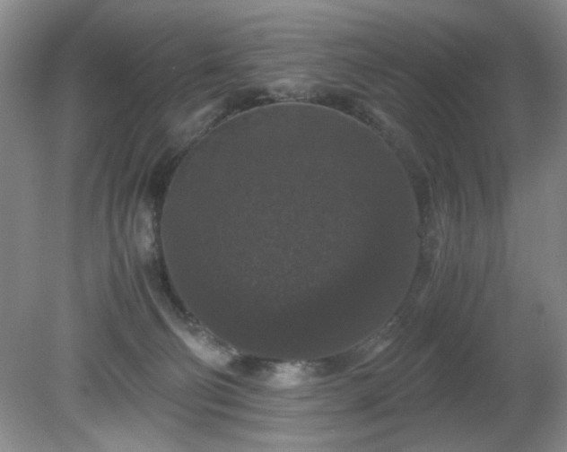 X0000081390130200701182242