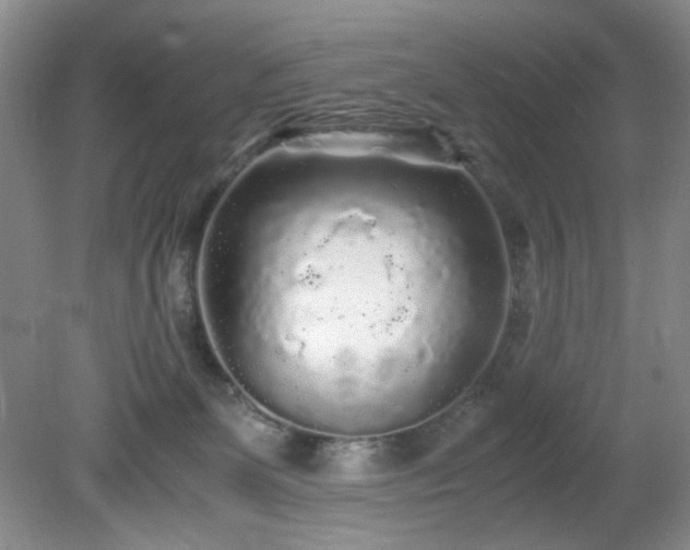 X0000081390131200701182242