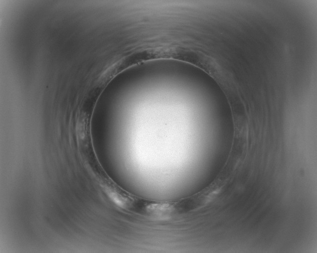 X0000081390133200701182242