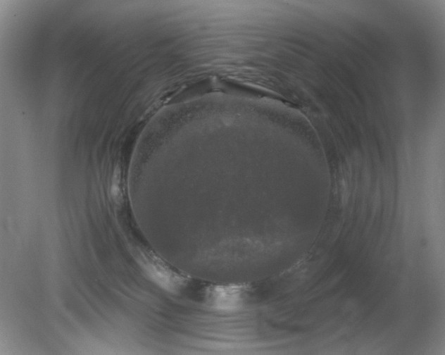 X0000081390134200701182242