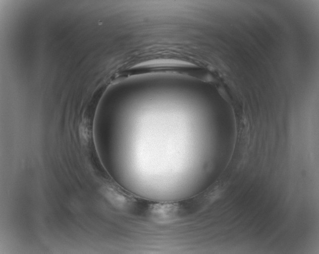 X0000081390135200701182242