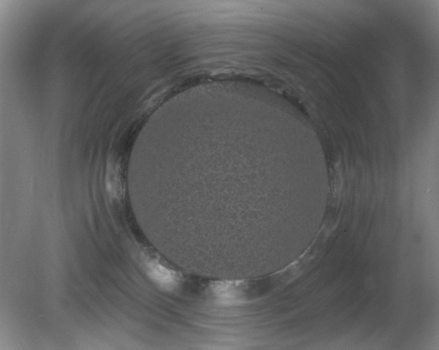 X0000081390136200701182242