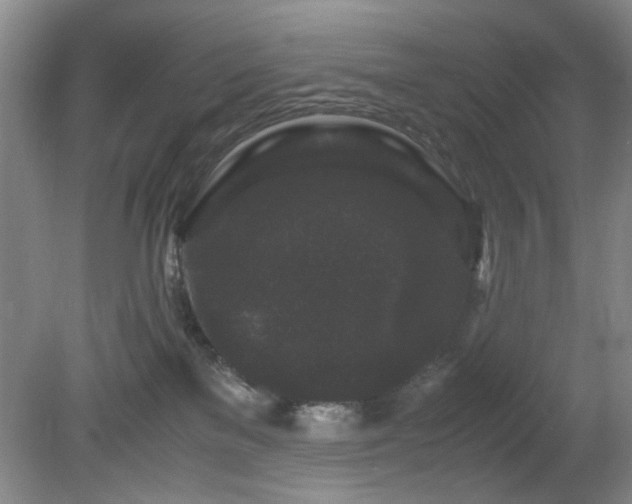 X0000081390137200701182242