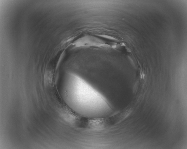 X0000081390139200701182242