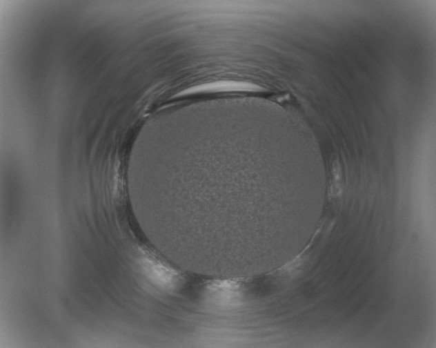 X0000081390140200701182242