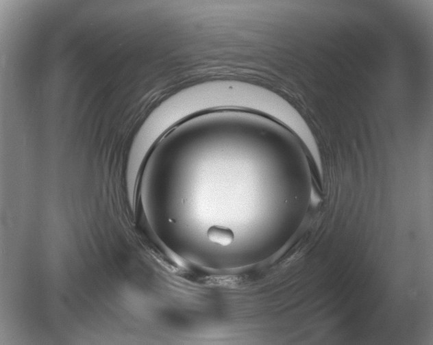 X0000081390143200701182242