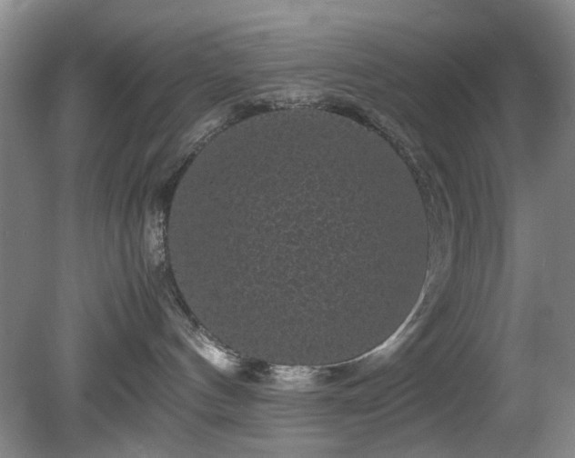 X0000081390144200701182242