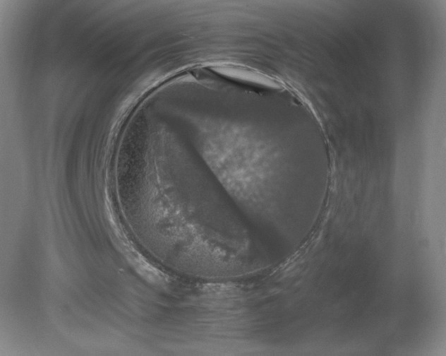 X0000081390145200701182241