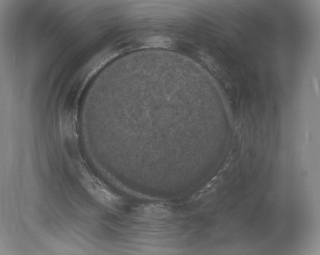 X0000081390146200701182241