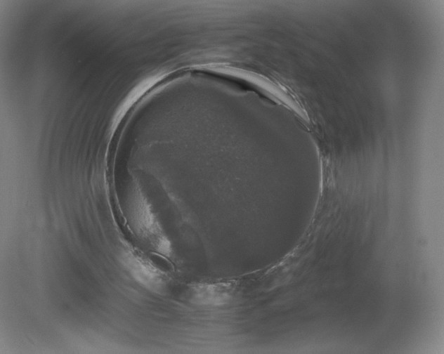 X0000081390147200701182241