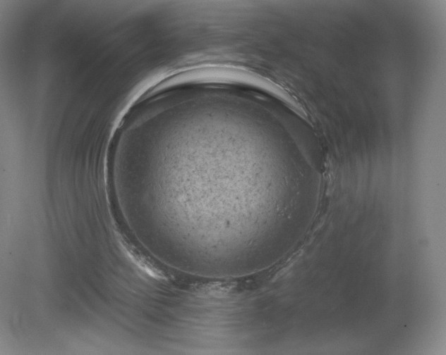 X0000081390148200701182241