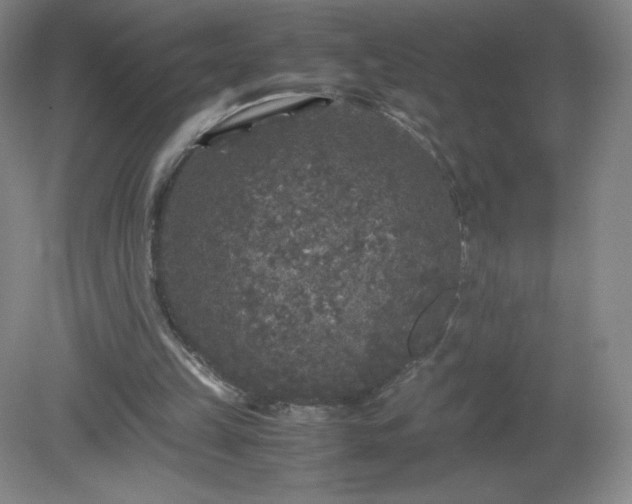 X0000081390149200701182241