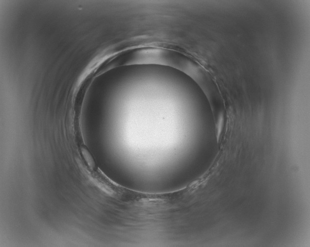 X0000081390150200701182241