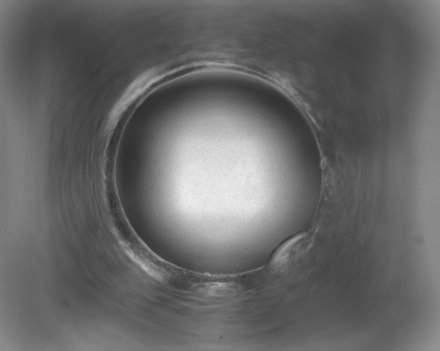 X0000081390151200701182241