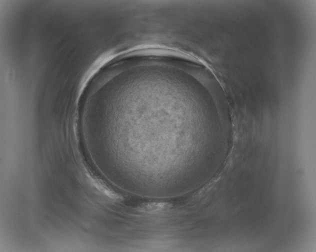 X0000081390152200701182241