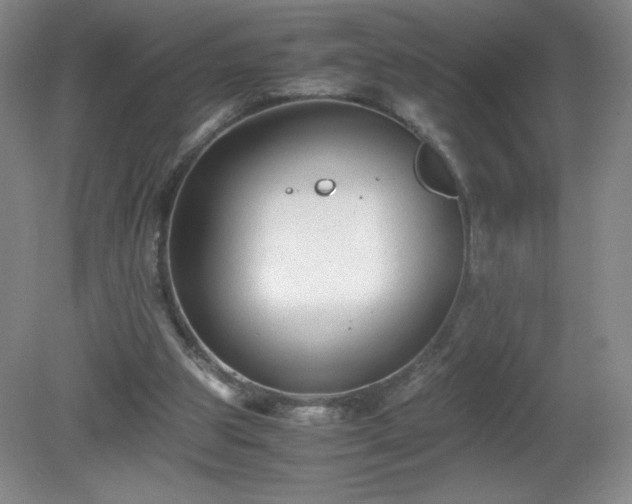 X0000081390153200701182241