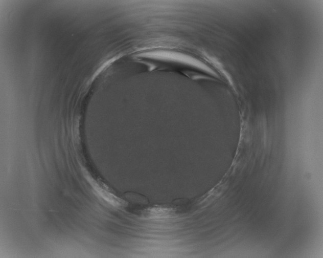 X0000081390154200701182241