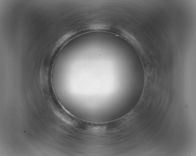 X0000081390155200701182241